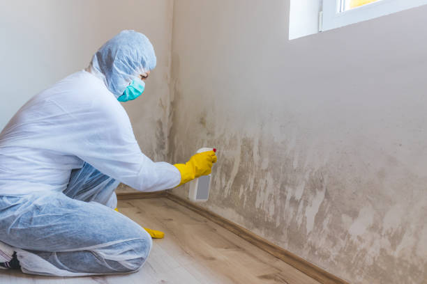 Licensed Commercial Mold Remediation service in Lebanon, OR - WQB Mold Removal