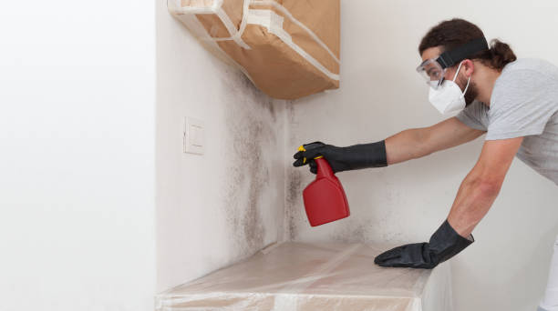 Professional Commercial Mold Remediation technician working in Lebanon, OR
