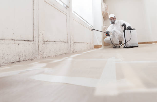 24/7 Emergency Commercial Mold Remediation experts in Lebanon, OR