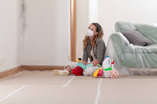 Reliable Commercial Mold Remediation contractor in Lebanon, OR by WQB Mold Removal